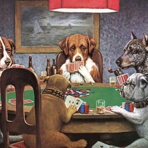 Meet your Posher, Nathan